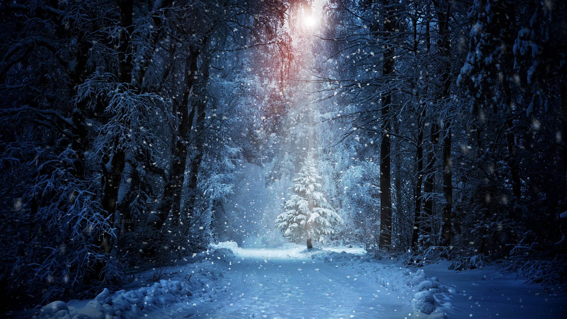 Зимняя ночь картинки красивые и удивительные - подборка 20 фото 2