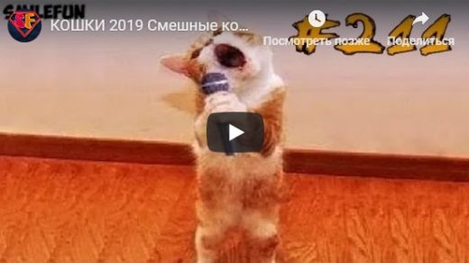 Мотивация на успех в бизнесе видео скачать бесплатно на русском языке