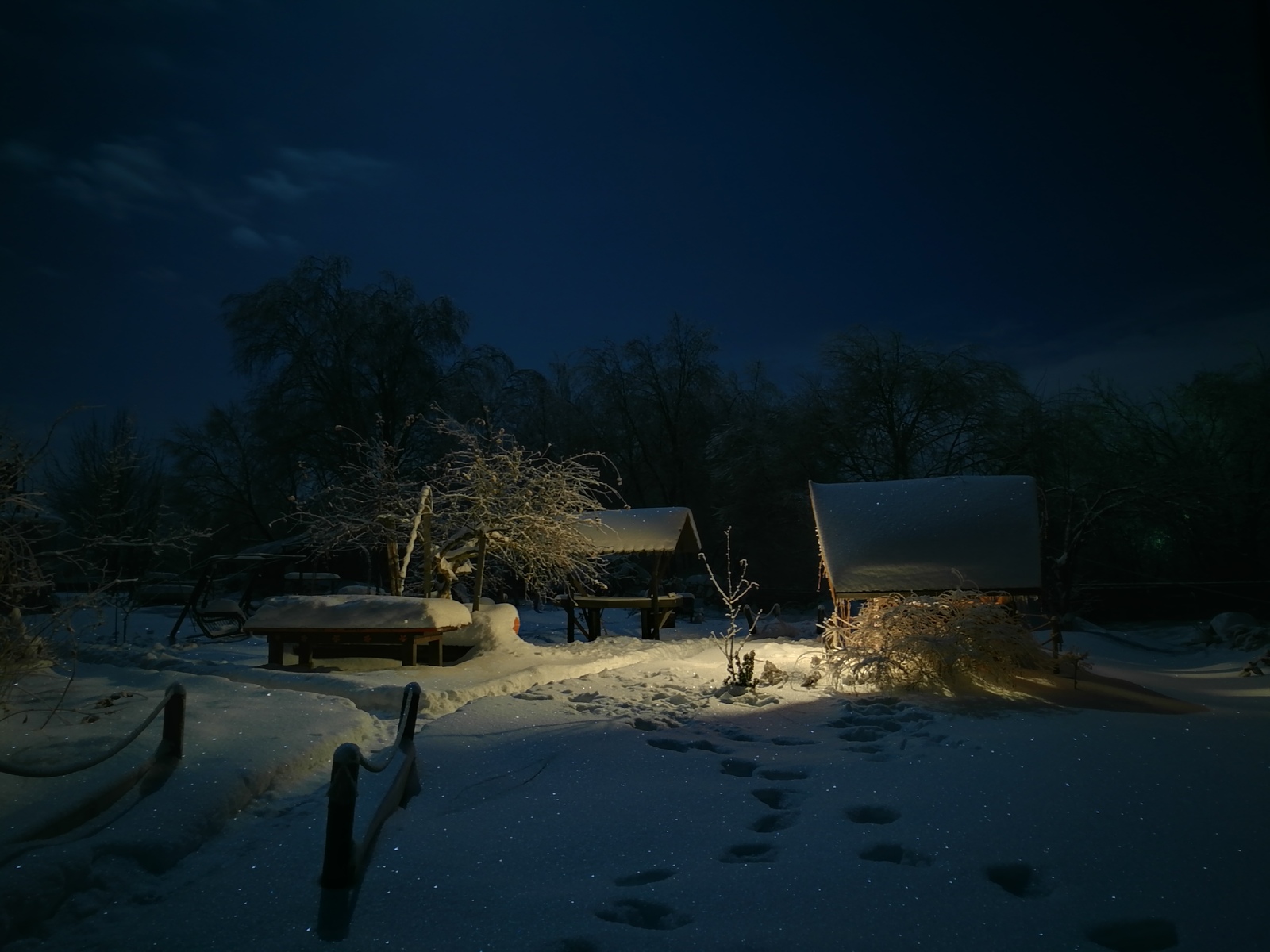 Зимняя природа ночью картинки
