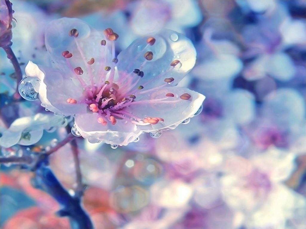 Удивительная и красивая подборка картинок Весна - 25 фото 15