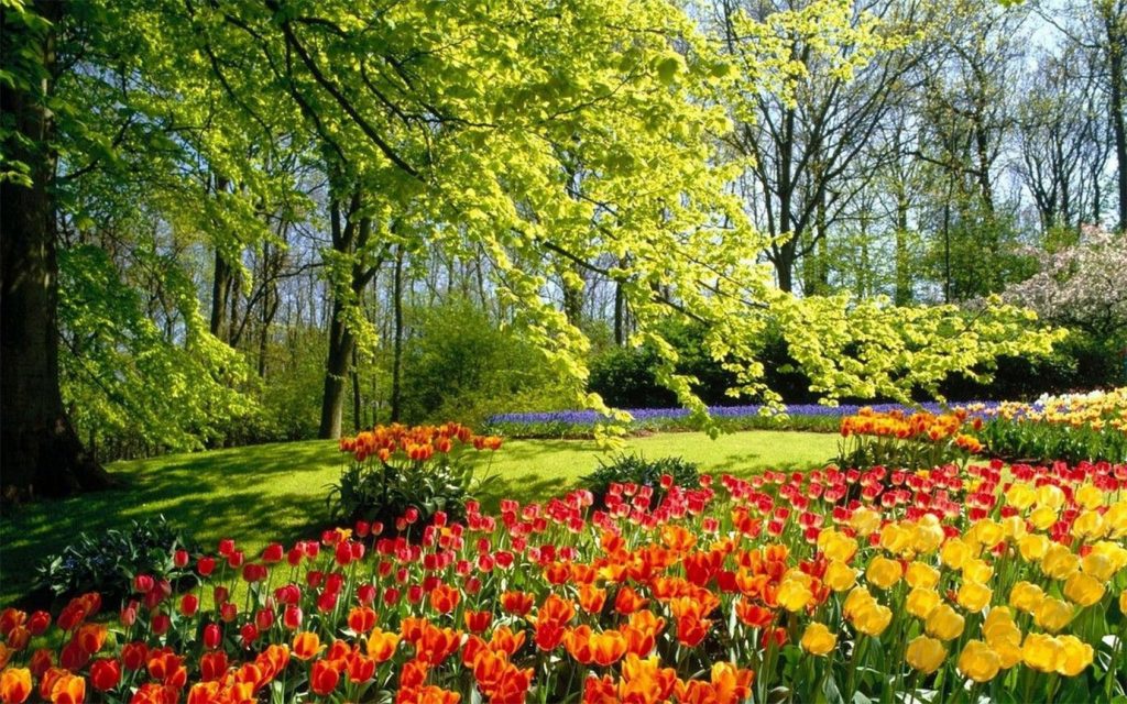Удивительная и красивая подборка картинок Весна - 25 фото 16