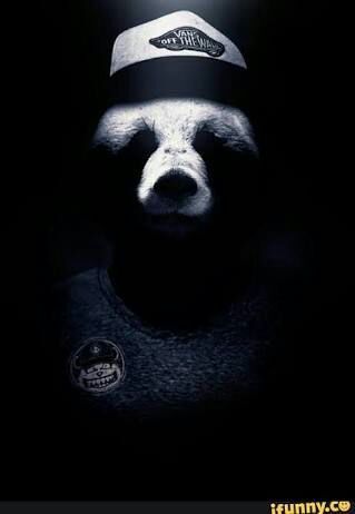 Красивые картинки и изображения панды, панд - подборка артов 15