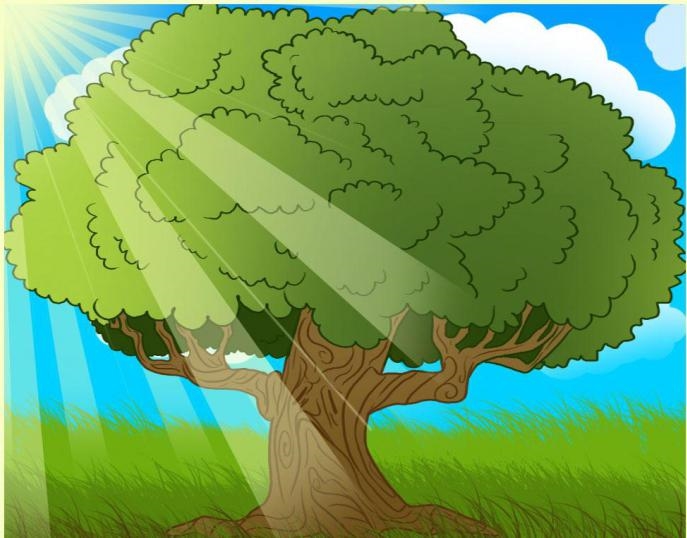 Большое дерево картинка для детей