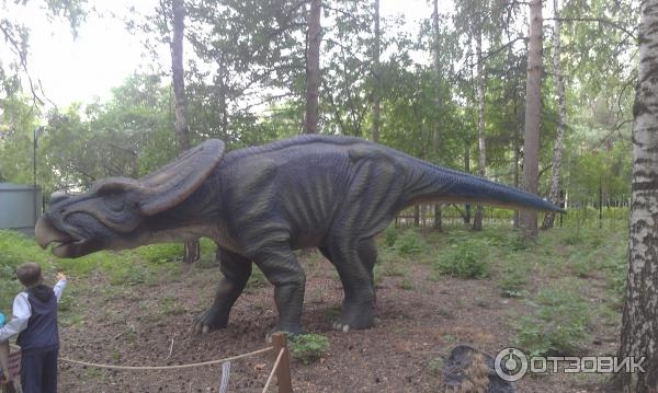 Динозавры в наше время фото018