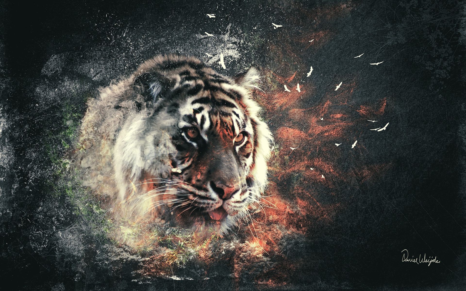 Картинки на рабочий стол тигр (3)