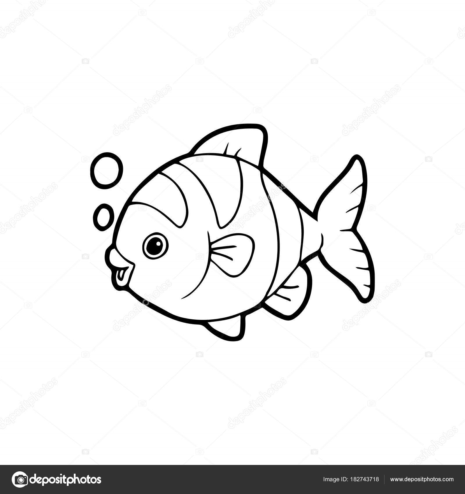 Картинки рыбки для детей на белом фоне (6)