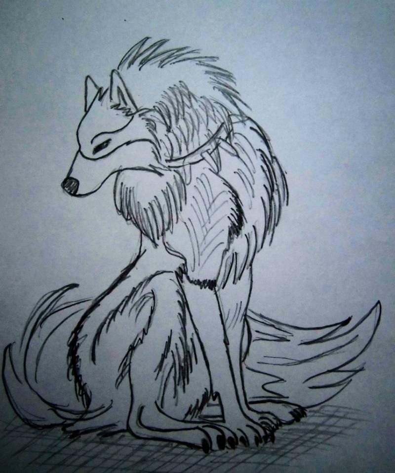 Рисунки для срисовки волки аниме008