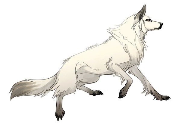 Рисунки для срисовки волки аниме022