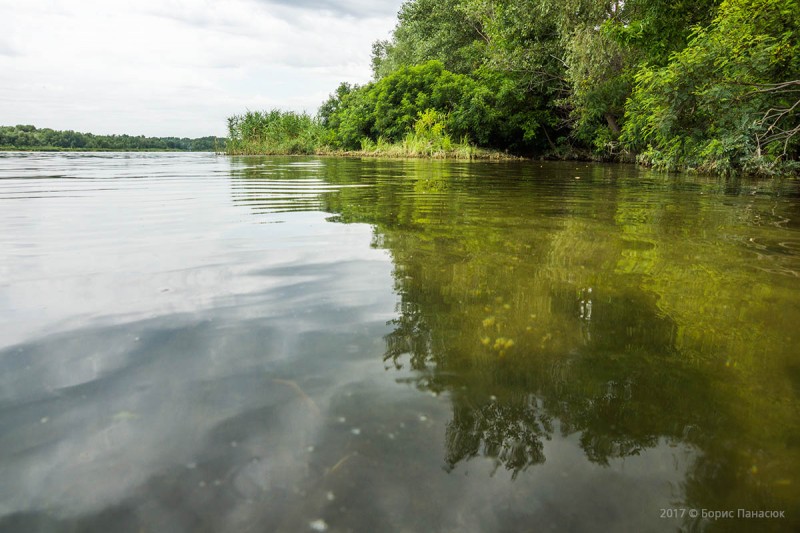 Фото Природы Дона