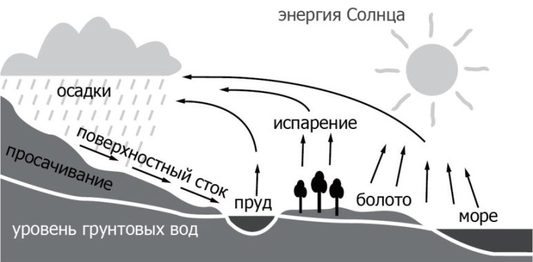 Схема круговорота земли в природе