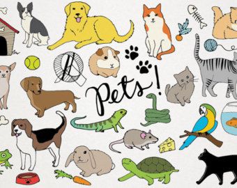 Графические рисунки кошек и собак   подборка (16)