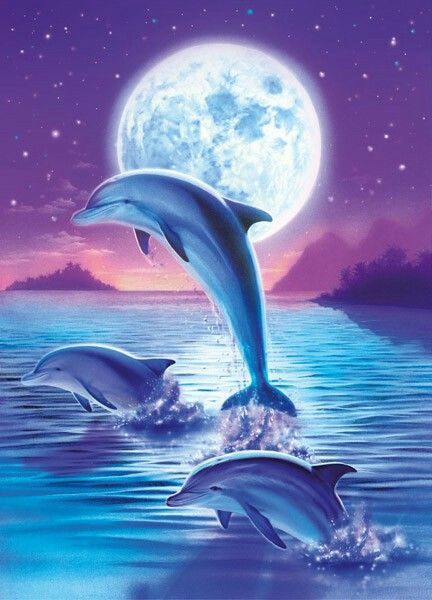 Дельфины красивые картинки и фото (10)