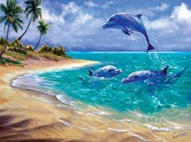 Дельфины красивые картинки и фото (12)