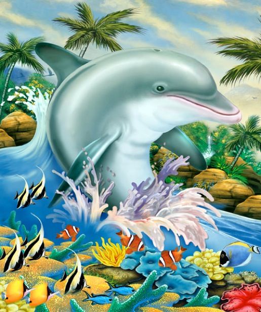 Дельфины красивые картинки и фото (13)