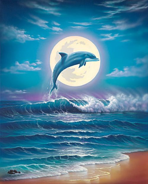 Дельфины красивые картинки и фото (14)