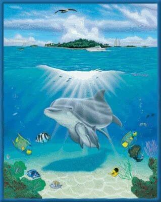 Дельфины красивые картинки и фото (18)