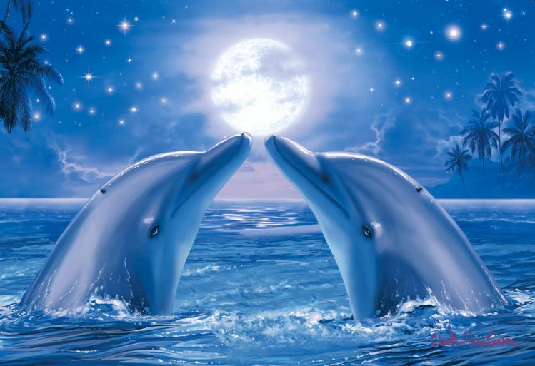 Дельфины красивые картинки и фото (20)