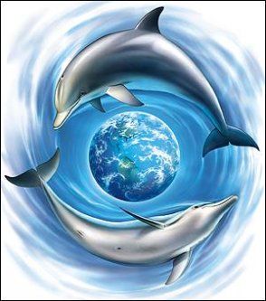 Дельфины красивые картинки и фото (25)