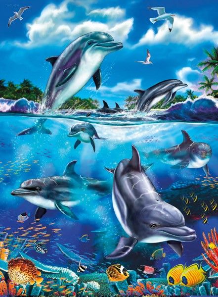 Дельфины красивые картинки и фото (28)