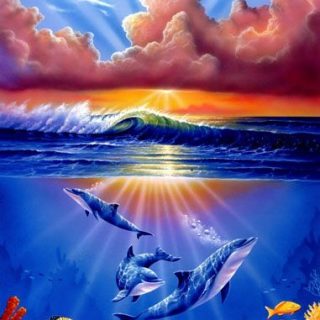 Дельфины красивые картинки и фото (32)