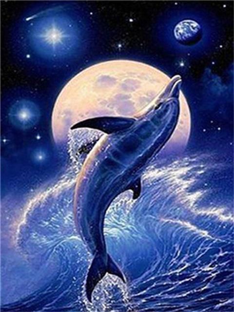 Дельфины красивые картинки и фото (4)