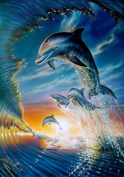Дельфины красивые картинки и фото (7)