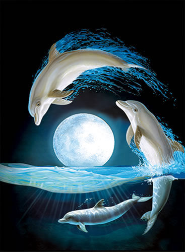 Дельфины красивые картинки и фото (9)