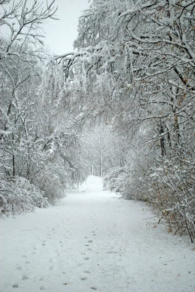 Зима красивые картинки и фотографии (1)