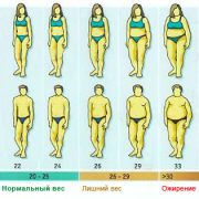 Индекс массы тела – что это такое и с чем его едят (2)