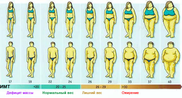 Индекс массы тела – что это такое и с чем его едят (2)