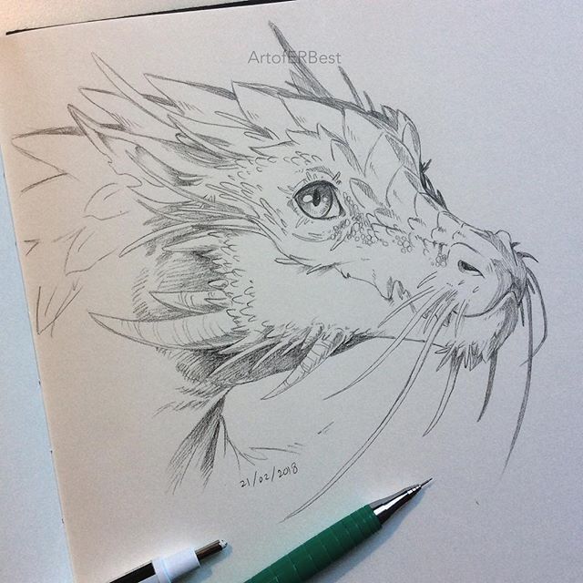 Картина дракона карандашом - очень красивые (17)
