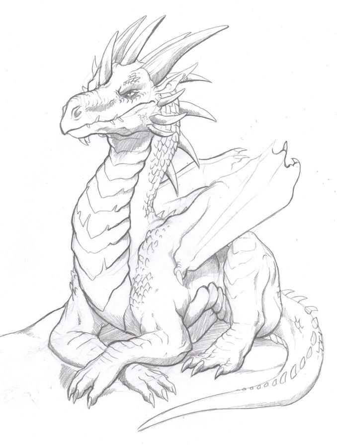 Картина дракона карандашом   очень красивые (19)