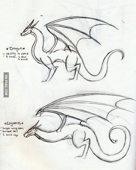Картина дракона карандашом - очень красивые (23)