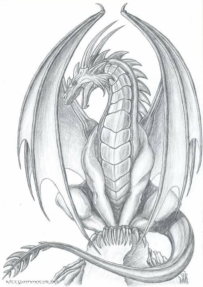 Картина дракона карандашом - очень красивые (5)
