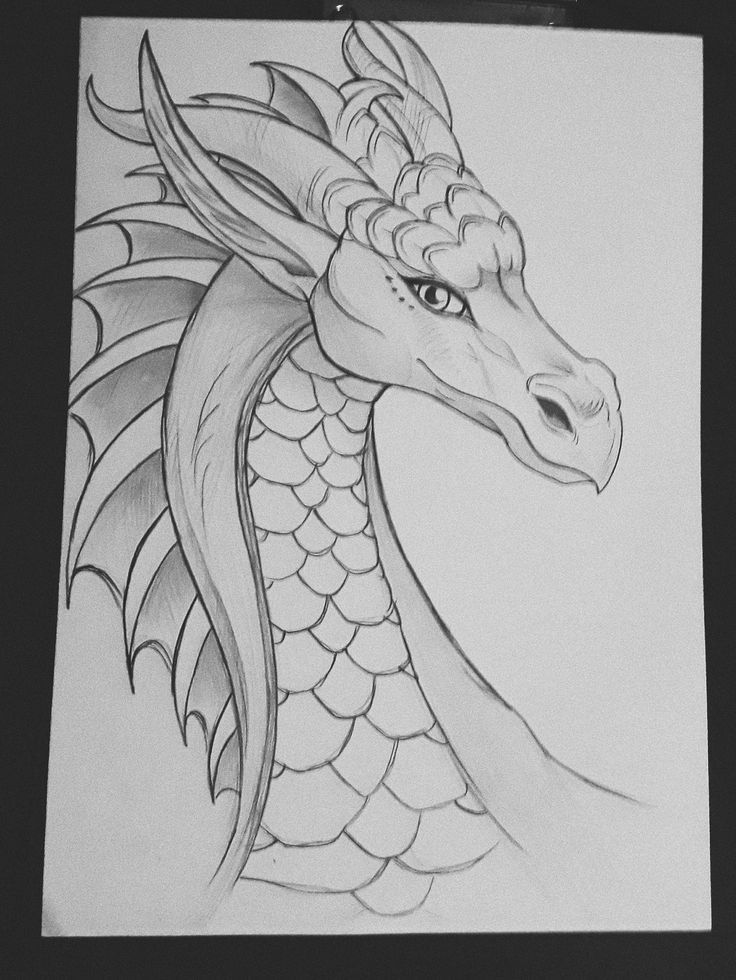 Картина дракона карандашом   очень красивые (7)