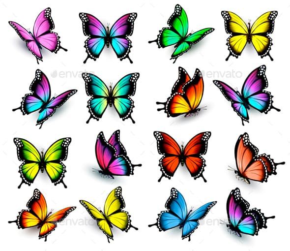Картинки красивые бабочки нарисованные - подборка изображений (10)