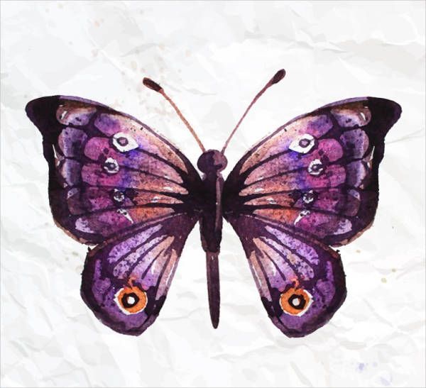 Картинки красивые бабочки нарисованные   подборка изображений (12)