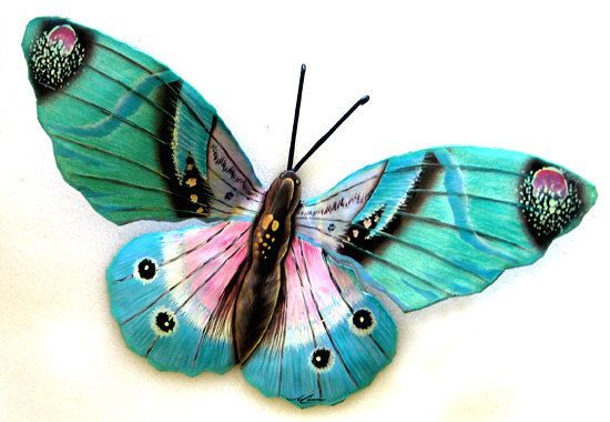 Картинки красивые бабочки нарисованные   подборка изображений (15)