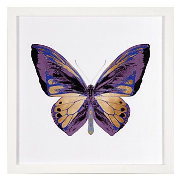 Картинки красивые бабочки нарисованные - подборка изображений (23)