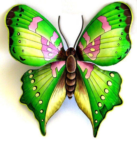 Картинки красивые бабочки нарисованные - подборка изображений (8)