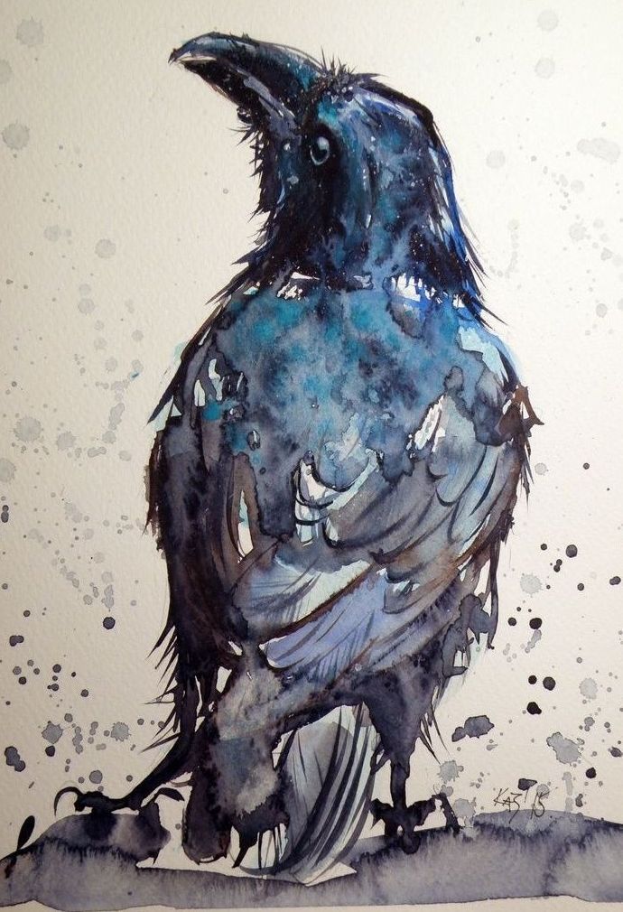 Картинки нарисованные карандашом птицы (2)