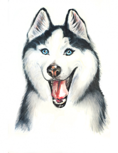 Картинки про собак карандашом - подборка (2)