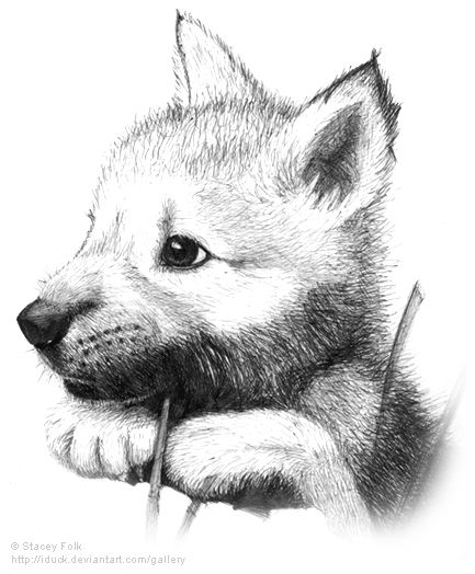 Картинки про собак карандашом - подборка (20)