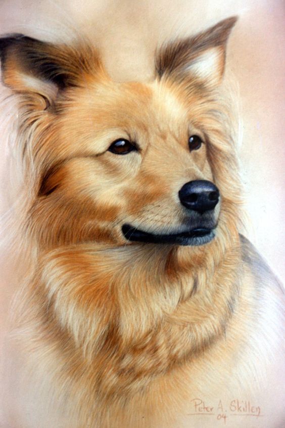 Картинки про собак карандашом   подборка (3)