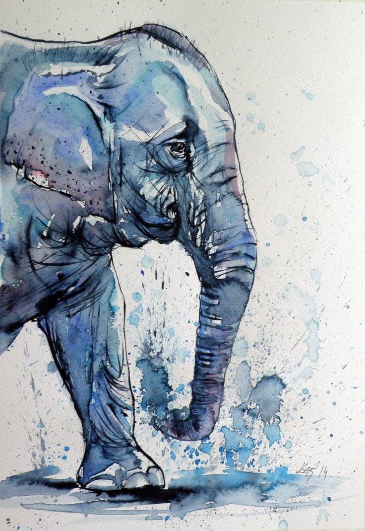 Картинки слон рисунок и картинки (11)