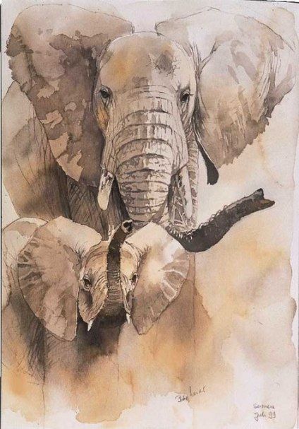 Картинки слон рисунок и картинки (25)