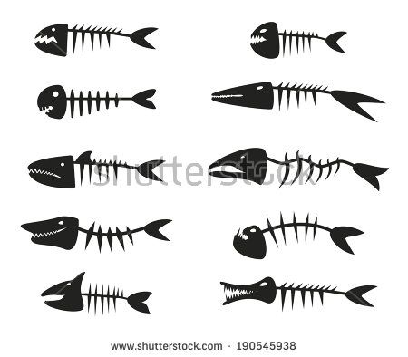 Кости рыбы рисунок и картинки (14)