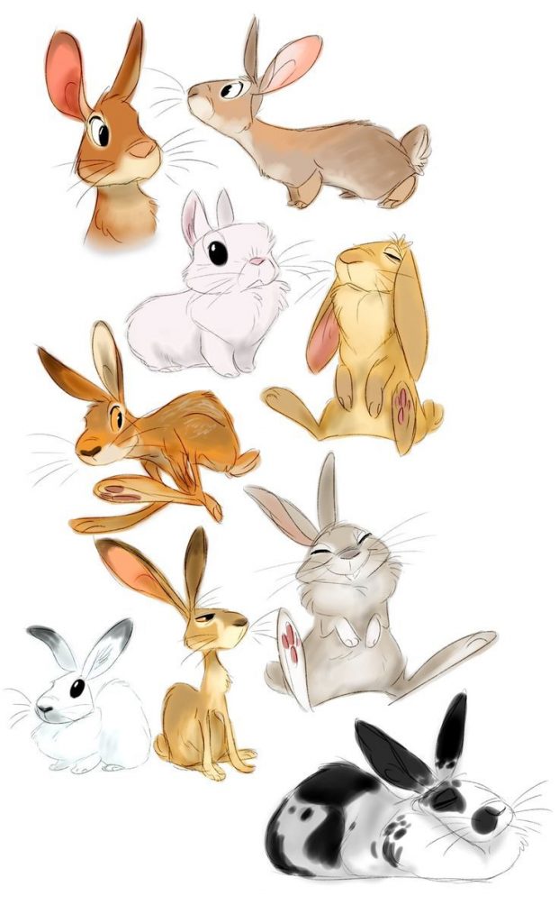 Кролик рисунок и картинки (15)