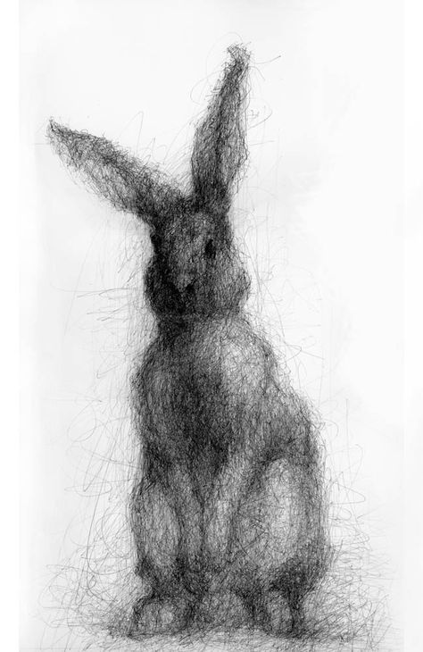 Кролик рисунок и картинки (21)