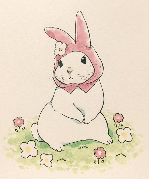 Кролик рисунок и картинки (22)